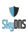 Облачный корпоративный интернет-фильтр SkyDNS.Бизнес